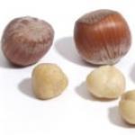 Tavallisen hasselin istutus ja hoito Mitä siemeniä pähkinän hedelmissä on?