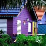 외부 목조 주택을 칠하는 데 어떤 페인트가 더 낫습니까?