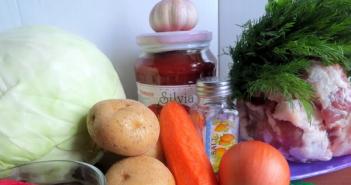 Cómo cocinar un delicioso borscht con carne de cerdo: receta paso a paso con fotos de cocina