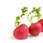 Interpretation of dreams about radishes in dream books Seeing radishes in a dream means
