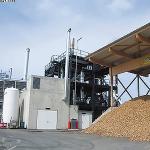 Kaip iš mėšlo gauti biodujų: pagrindinių gamybos įmonės principų ir dizaino apžvalga