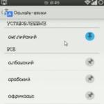 Najbolji prevoditelji za Android glasovni prevoditelj s engleskog na ruski za android