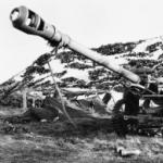 Saarien taistelu: Falklandin sota